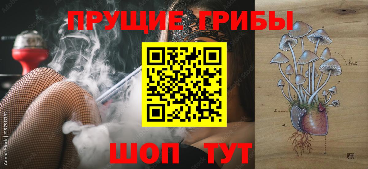 Галлюциногенные грибы мицелий Белая Калитва