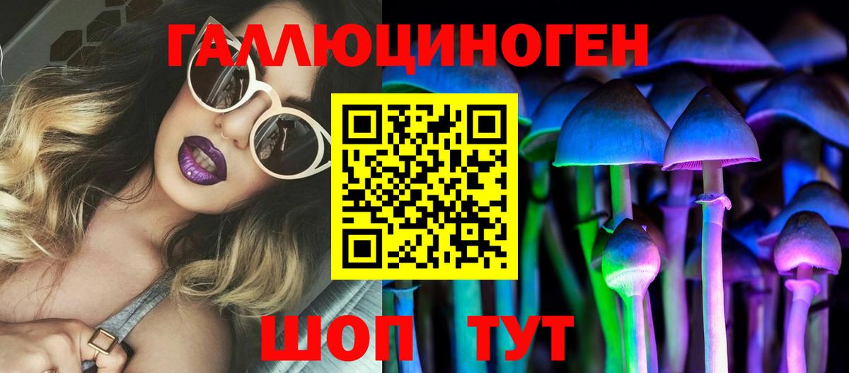 Галлюциногенные грибы Psilocybe  Вход с VPN  Белая Калитва 